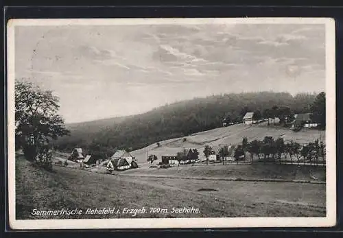 AK Rehefeld /Erzgeb., Ortsansicht mit Landstrasse