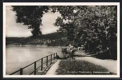 AK Waldshut am Hochrhein, auf der Rheinpromenade