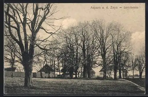 AK Asparn a. d. Zaya, Ortsansicht von der Schlosswiese gesehen