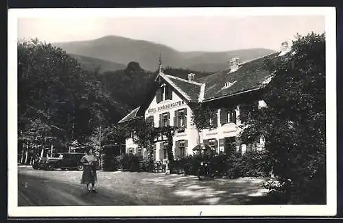 AK Weidlingbach, Franz Vogel`s Hotel-Restaurant Scheiblingstein