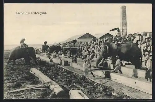 AK Rangoon, Scene in a timber yard