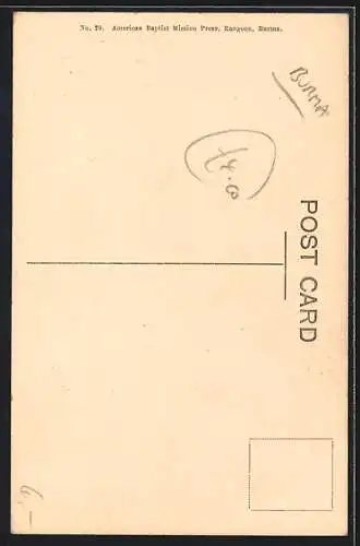 AK Burma, Orchids in Bloom