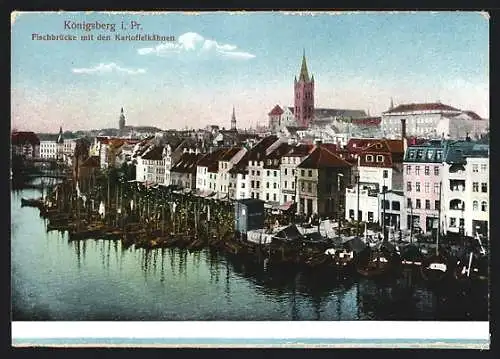 AK Königsberg i. Pr., Fischbrücke mit den Kartoffelkähnen