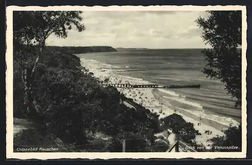 AK Rauschen, Blick von der Venusspitze auf den Strand