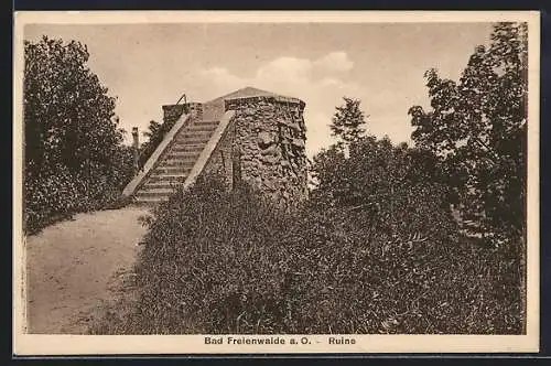 AK Bad Freienwalde a. O., Die Ruine