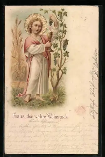 Lithographie Jesus, der wahre Weinstock