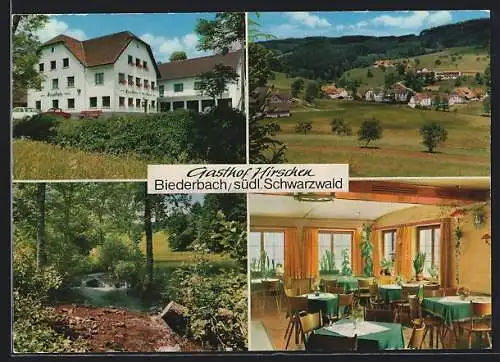 AK Biederbach / Schwarzwald, Gasthof z. Hirschen mit Gastraum, Panoramaansicht, Bachpartie