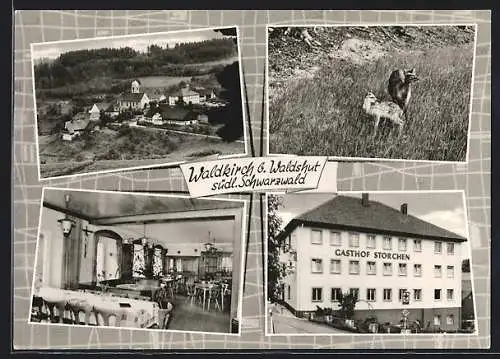 AK Waldkirch / Waldshut, Gasthaus Zum Storchen, Ortsansicht, Rehe