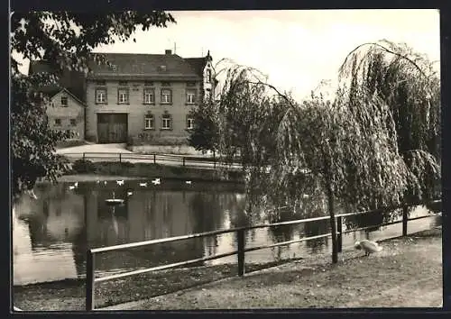 AK Wilhelmsdorf, Gebäude um den Weiher