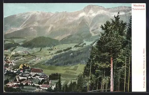 AK Neuberg, Teilansicht im Tal vom Berg aus