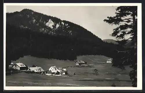 AK St. Aegyd am Neuwalde, Lahnsattel aus der Vogelschau