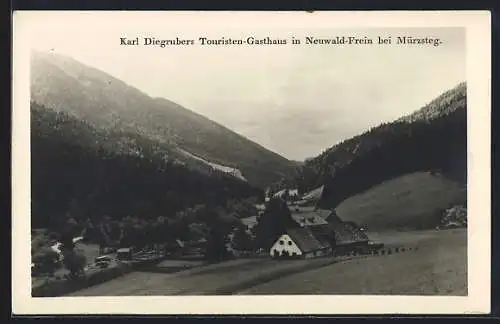 AK Neuwald-Frein, Karl Diegrubers Touristen-Gasthaus, Blick über die Alm