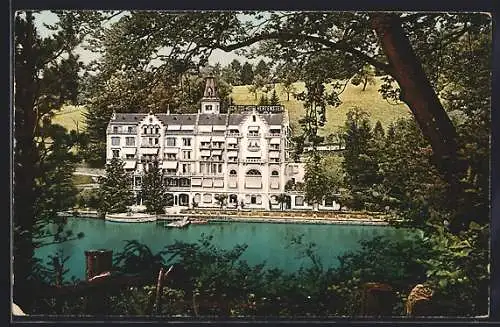 AK Hertenstein, Schloss-Hotel mit Gewässer aus der Vogelschau