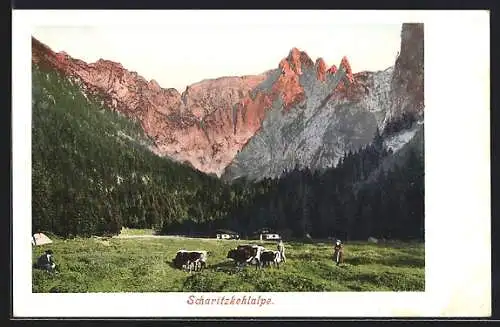 AK Berchtesgaden, Scharitzkehlalpe, Ortspartie mit Kühen