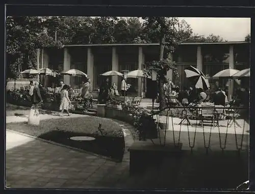 AK Potsdam, Mitropa Gaststätte mit Garten, Bahnhof