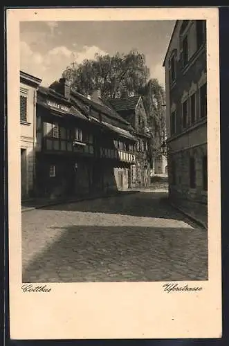 AK Cottbus, Uferstrasse im Licht- und Schattenspiel