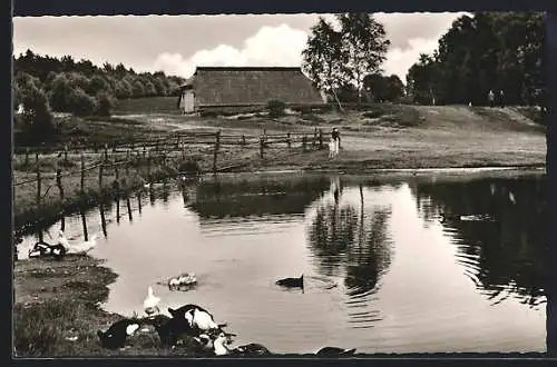 AK Undeloh, Dorfteich, reetgedecktes Haus