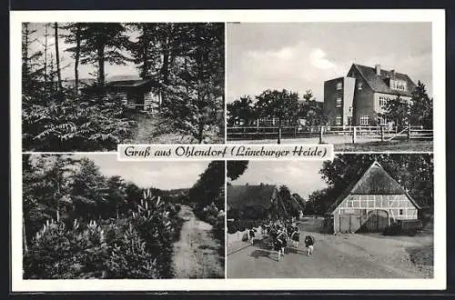 AK Ohlendorf /Lüneburger Heide, Waldhütte und Weg, Strassenpartie mit Kuhherde