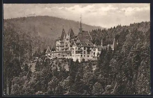 AK Todtmoos, Sanatorium Wehrawald mit Wald