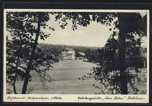 AK Sobernheim /Nahe, Erholungsstätte Neues Leben, Südhäuser