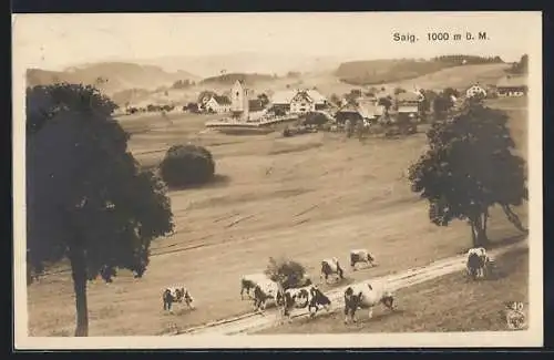 AK Saig, Kühe und Dorf