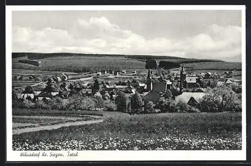 AK Wilnsdorf Kr. Siegen, Ortspartie mit Landschaft