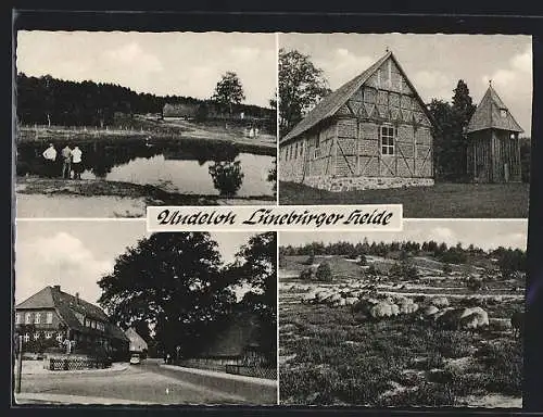 AK Undeloh /Lüneburger Heide, Fachwerkhaus, Strassenpartie