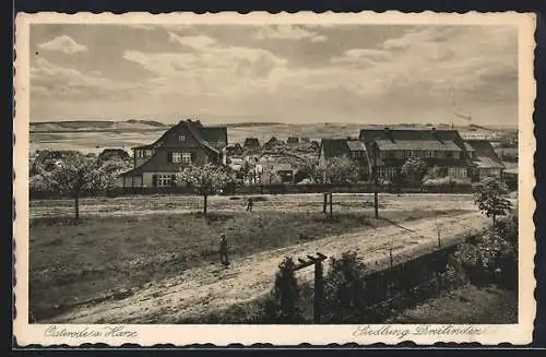 AK Osterode / Harz, Ortsblick mit der Siedlung Dreilinden