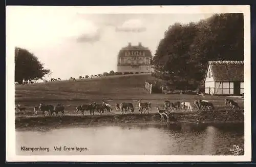 AK Klampenborg, Ved Eremitagen