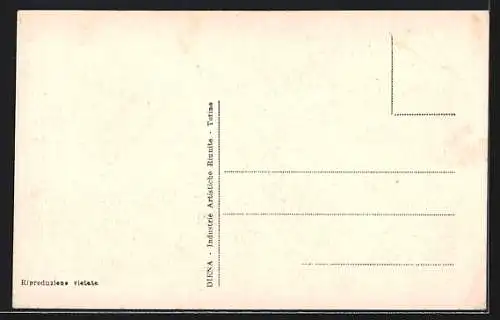 AK Gardone Riviera, Hotel Roma