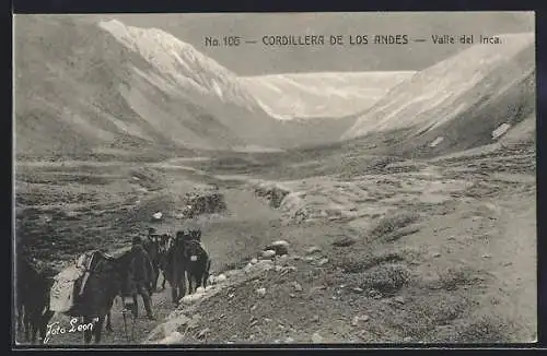 AK Cordillera de los Andes, Valle del Inca