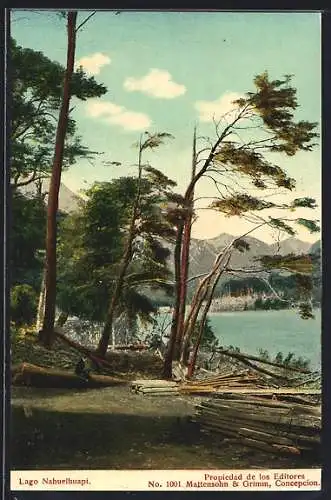 AK Lago Nahuelhuapi, Waldpartie am Seeufer