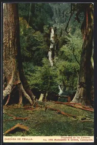 AK Cascada de Peulla, Wasserfall im Wald