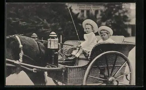 AK Erbprinz Ernst August u. Prinz Georg Wilhelm zu Braunschweig u. Lüneburg fahren in einer Pferdekutsche