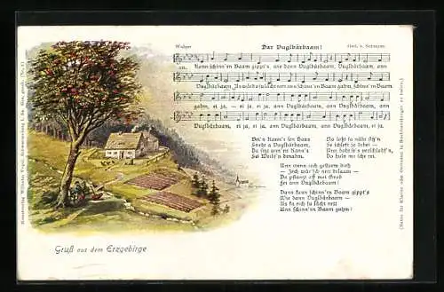 AK Erzgebirge, Lied Dar Vuglbärbaam, Text, Baum mit Parkbank