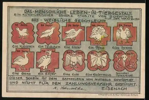 Notgeld Eisenach, 50 Pfennig, künstlerische Darstellung und humoristische Tiergestalten des weiblichen Geschlechts