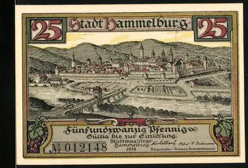 Notgeld Hammelburg, 1918, 25 Pfennig, Stadtansicht und Johann Froben mit Wappen