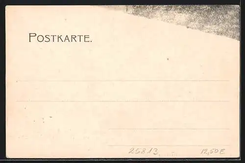 AK Husum / Nordsee, 300jähriges Stadtjubiläum u. Heimatfrest 1903, Festzug, Schiffahrt