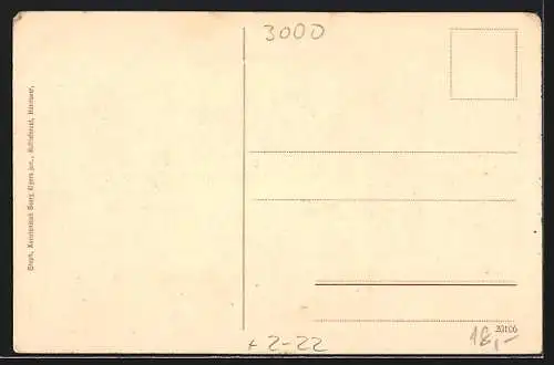 AK Hannover, Gautag des Verbandes mittlerer Reichspost- und Telegraphenbeamten 1914, Ortsansichten