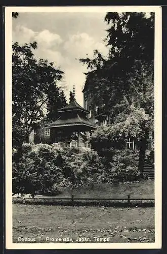 AK Cottbus, Promenade, Japan. Tempel