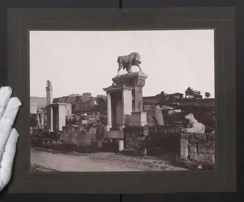 Fotografie unbekannter Fotograf, Ansicht Athen, Dipylon Friedhof, Grabstätten mit Kunstvollen Tier-Statuen, Stier & Löwe