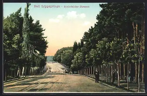 AK Bad Lippspringe, Bielefelder Strasse mit Wald