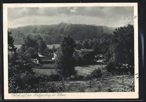 AK Vilsen, Blick auf den Heiligenberg