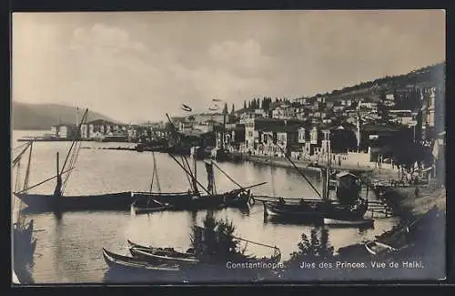 AK Constantinople, Jles des Princes, vue de Halki