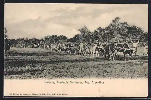 AK Carreta, Provincia Corrientes