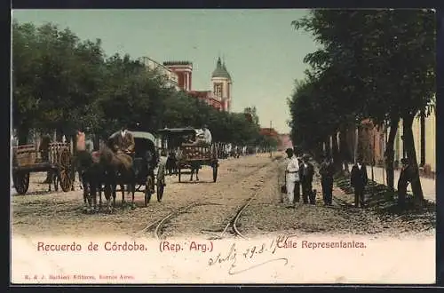 AK Córdoba, Calle Representantea