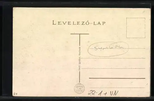 AK Szolnok, Synagoge, Látkép