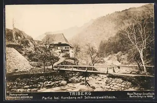 Foto-AK NPG Nr. 830: Triberg, Partie bei Hornberg mit Schwarzwaldhaus