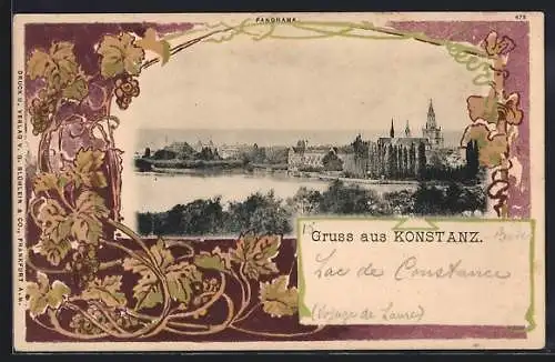 AK Konstanz, Panorama mit Weinreben