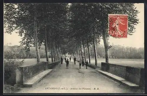 AK Artannes /Indre-et-Loire, Avenue des Platanes